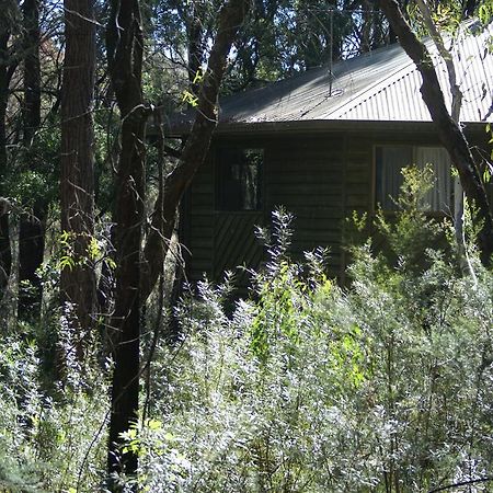Twin Falls Bush Cottages Fitzroy Falls Екстер'єр фото