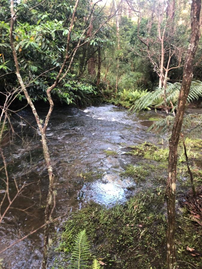Twin Falls Bush Cottages Fitzroy Falls Екстер'єр фото