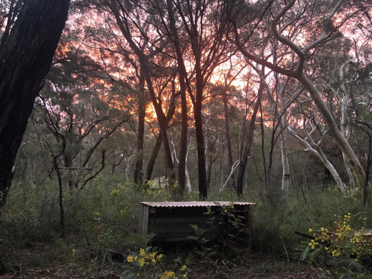 Twin Falls Bush Cottages Fitzroy Falls Екстер'єр фото