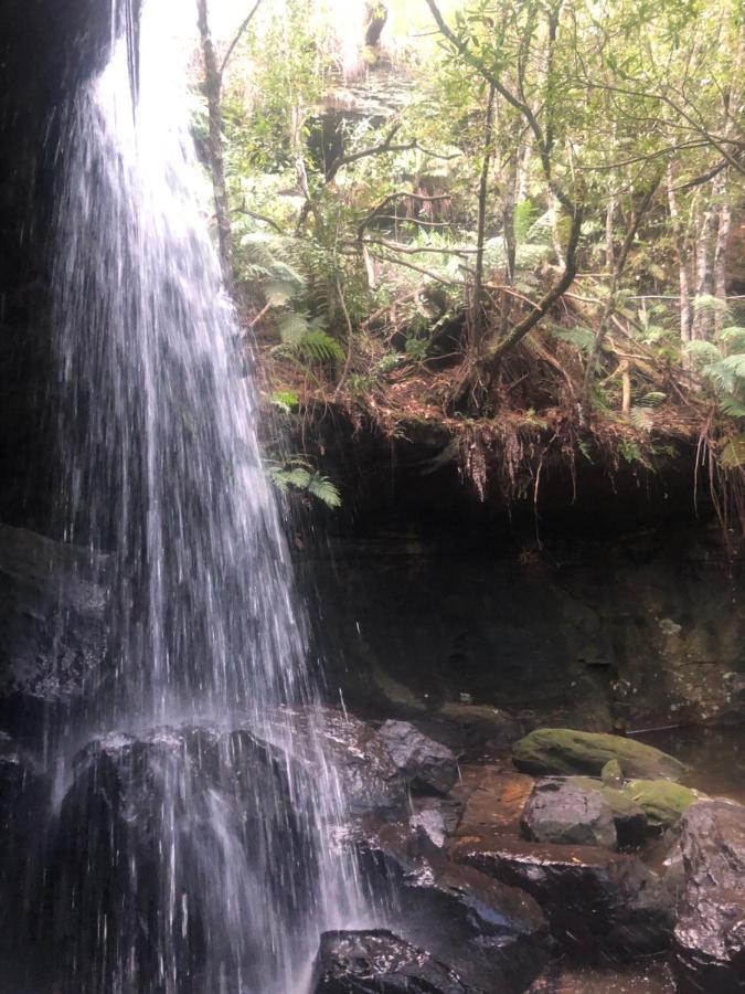 Twin Falls Bush Cottages Fitzroy Falls Екстер'єр фото