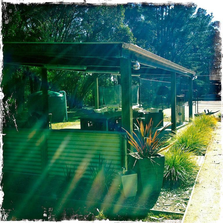 Twin Falls Bush Cottages Fitzroy Falls Номер фото