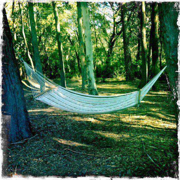 Twin Falls Bush Cottages Fitzroy Falls Номер фото