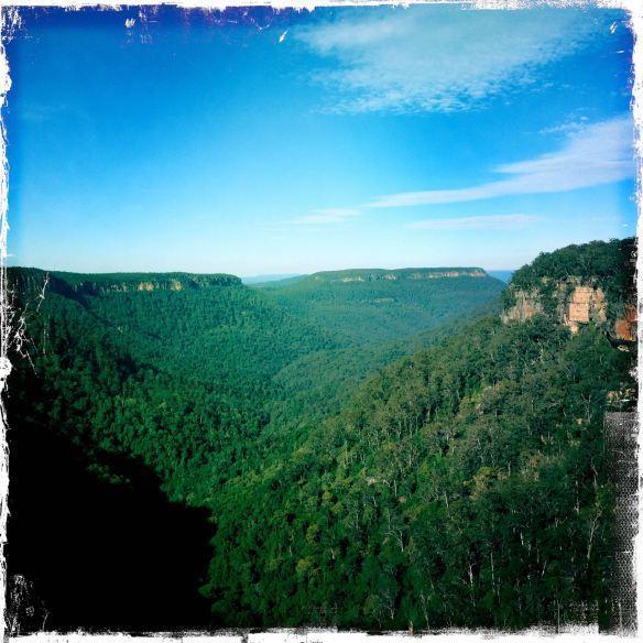 Twin Falls Bush Cottages Fitzroy Falls Номер фото