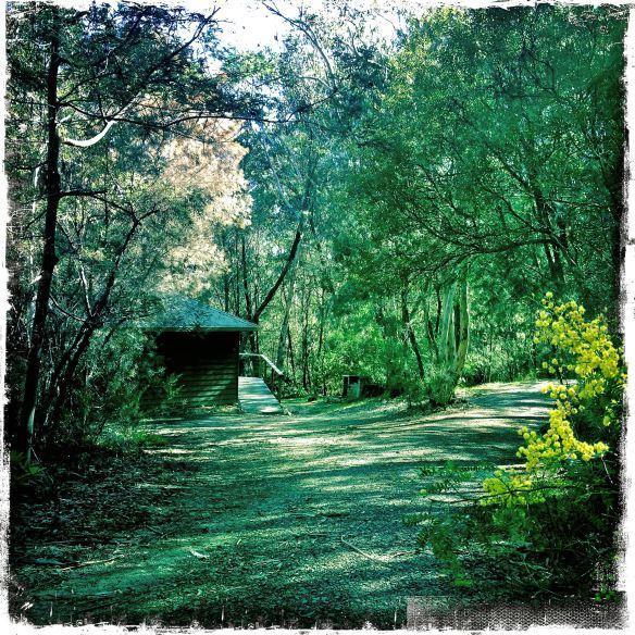 Twin Falls Bush Cottages Fitzroy Falls Номер фото
