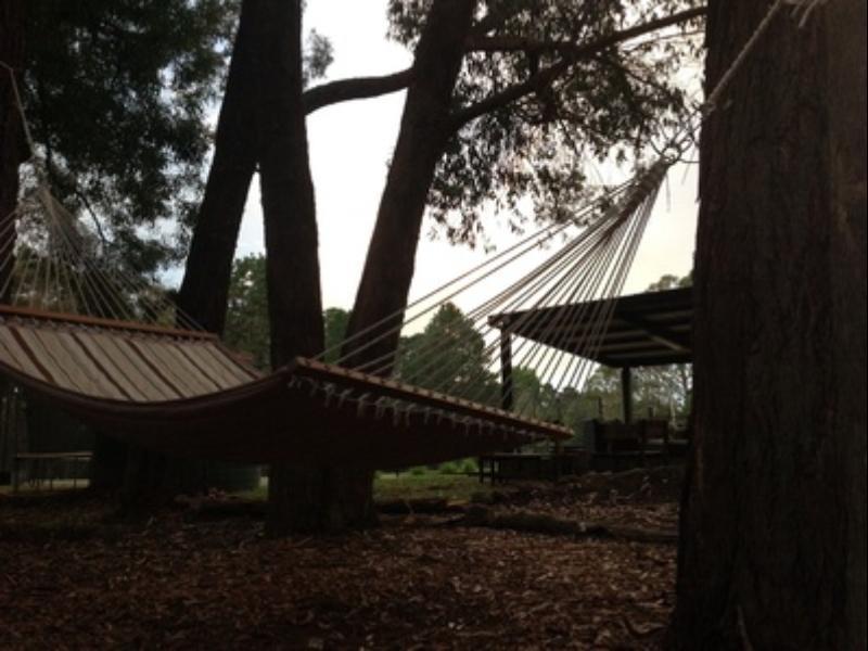 Twin Falls Bush Cottages Fitzroy Falls Екстер'єр фото