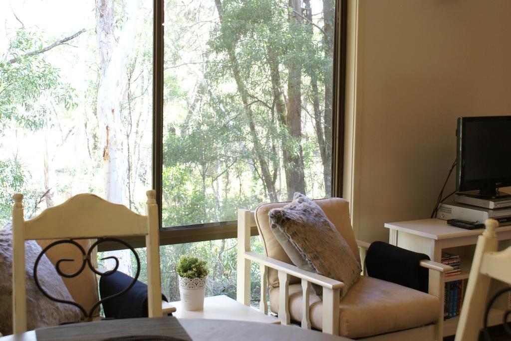 Twin Falls Bush Cottages Fitzroy Falls Екстер'єр фото