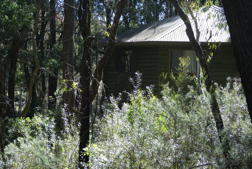 Twin Falls Bush Cottages Fitzroy Falls Екстер'єр фото