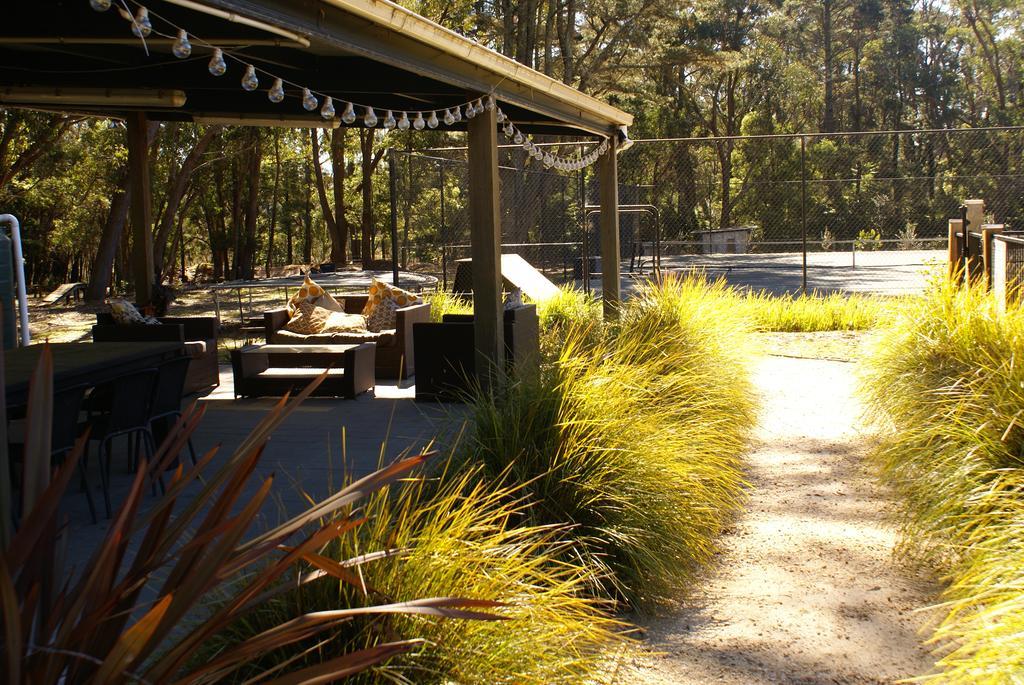 Twin Falls Bush Cottages Fitzroy Falls Екстер'єр фото